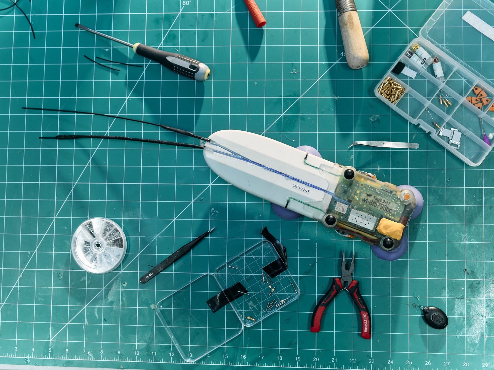 Bio-logging whale tags